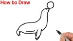 How to Draw Sea Lion / Easy Animals Drawings