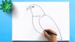 How to Draw a Bald Eagle | Bald Eagle Drawing Easy Step by Step | Draw the national Bird of USA