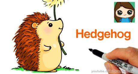 How to Draw a Hedgehog Easy