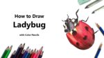 How to Draw a Ladybug with Color Pencils [Time Lapse]