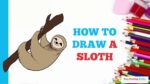 How to Draw a Sloth in a Few Easy Steps: Drawing Tutorial for Beginner Artists