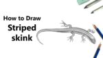 How to Draw a Striped skink with Pencils [Time Lapse]