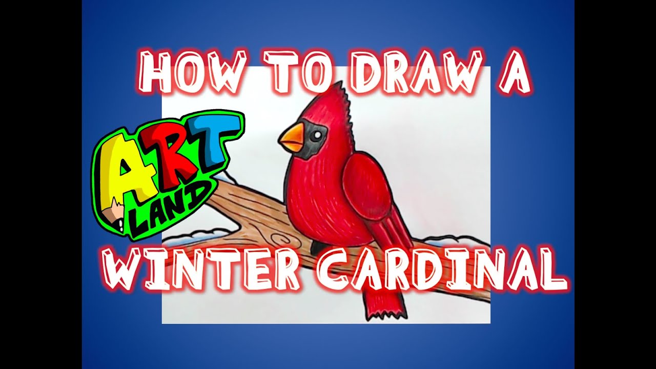 How to Draw a WINTER CARDINAL
