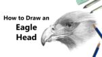 How to Draw an Eagle Head with Pencils [Time Lapse]