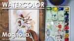 How to Paint Magnolia in Watercolor step by step