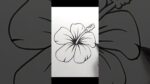 How to draw Hibiscus Flower #shorts