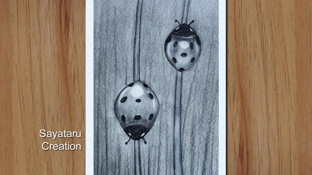 How to draw Ladybug with pencil, Drawing of Nature, Easy Pencil Sketch Drawing 2021