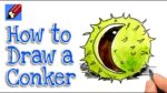 How to draw a Conker Real Easy