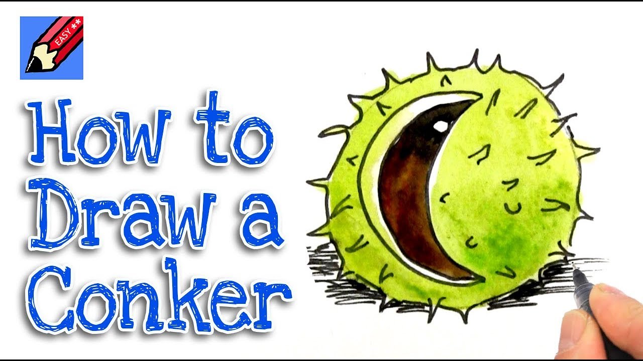 How to draw a Conker Real Easy