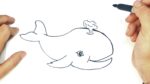 How to draw a Whale Step by Step | Whale Drawing Lesson
