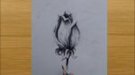 How to draw a beautiful rose bud drawing #shorts #youtubeshorts