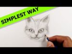 How to draw a cat realistic | Simple Drawing Ideas