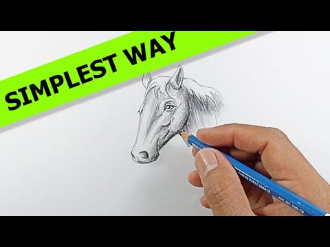 How to draw a horse realistic step by step | Simple Drawing Ideas