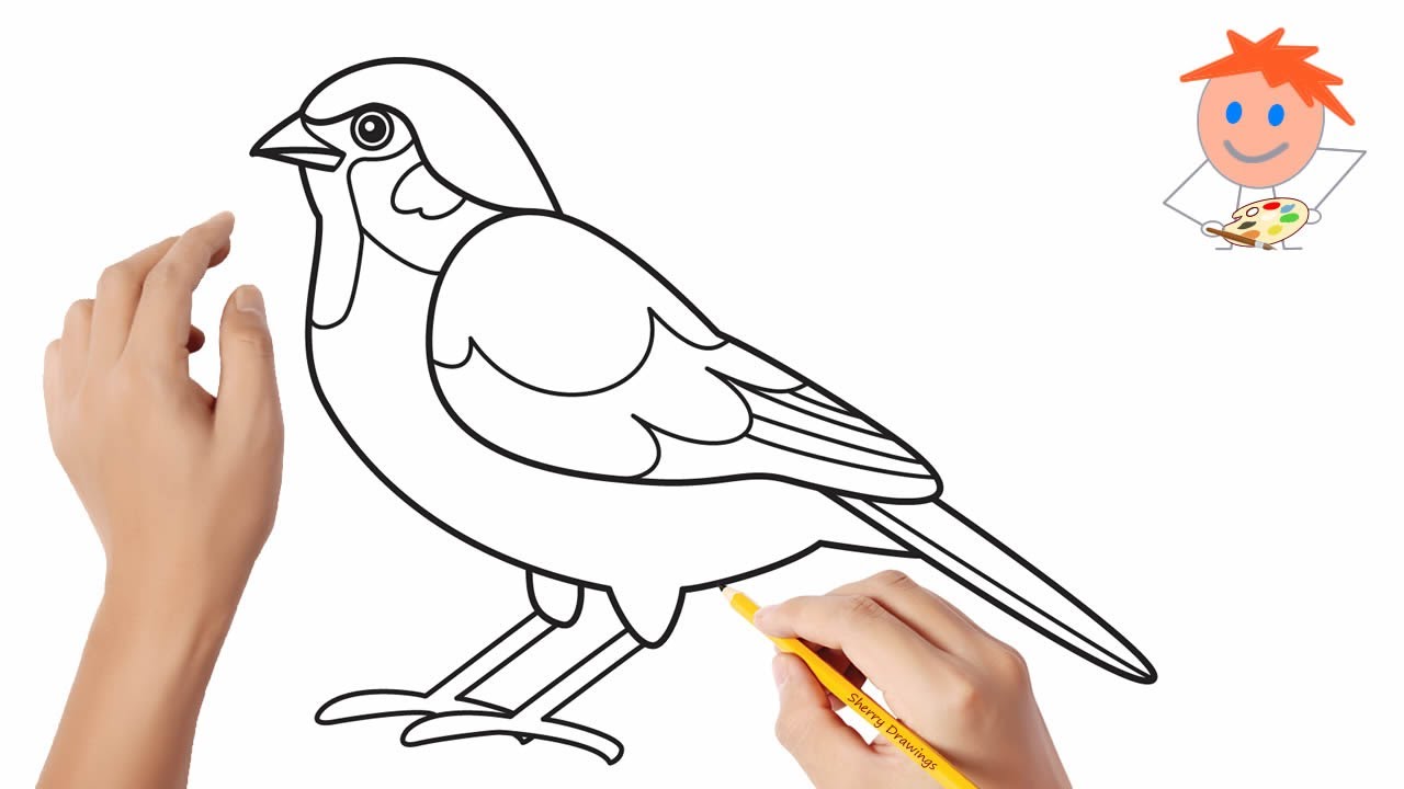 How to draw a sparrow | Easy drawings