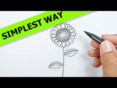 How to draw a sunflower easy | Simple Drawing Ideas
