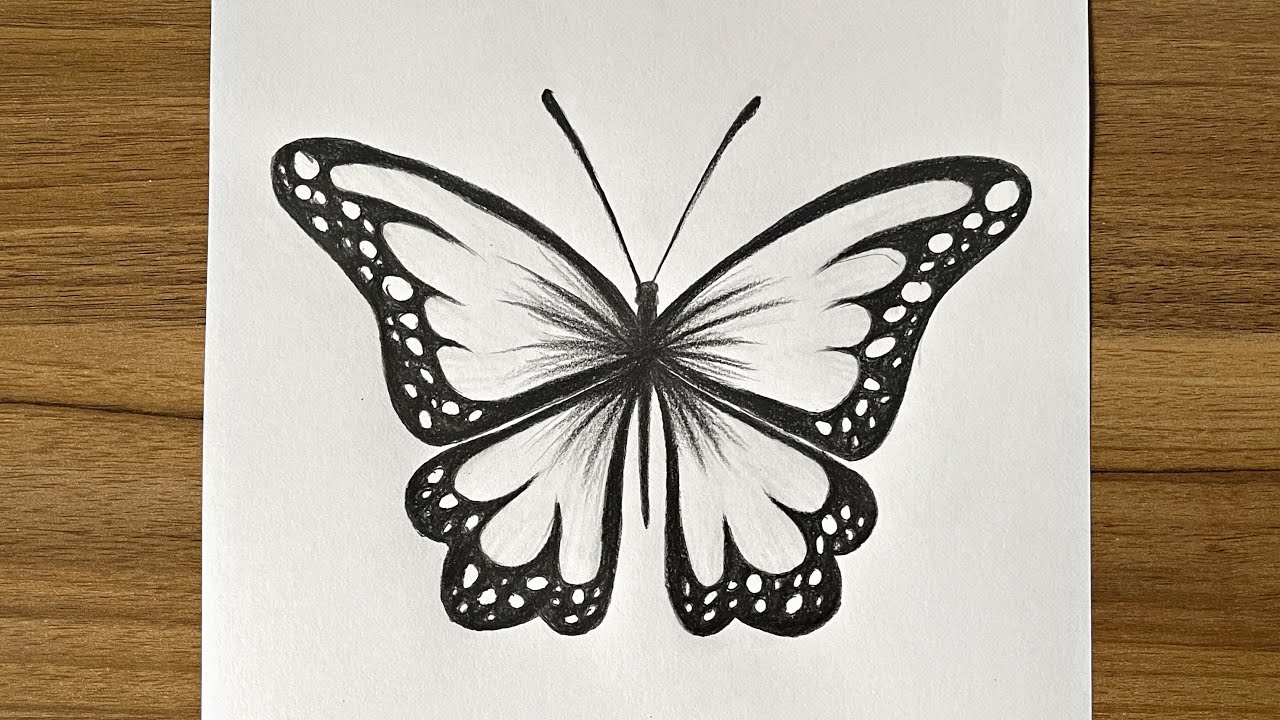 How to draw butterfly easy || Cool things to draw easy for beginners || Sketch drawing for beginners