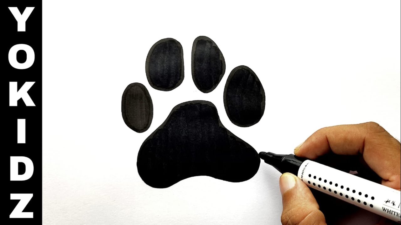 How to draw dog paws | Dog Paw Drawing