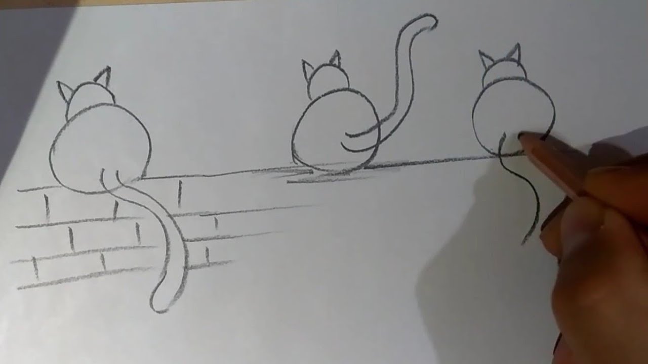Kolay çizimler / Kedi çizimi / Kolay hayvan çizimleri