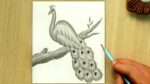 Peacock Drawing | Simple Peacock Pencil Sketch Drawing Easy