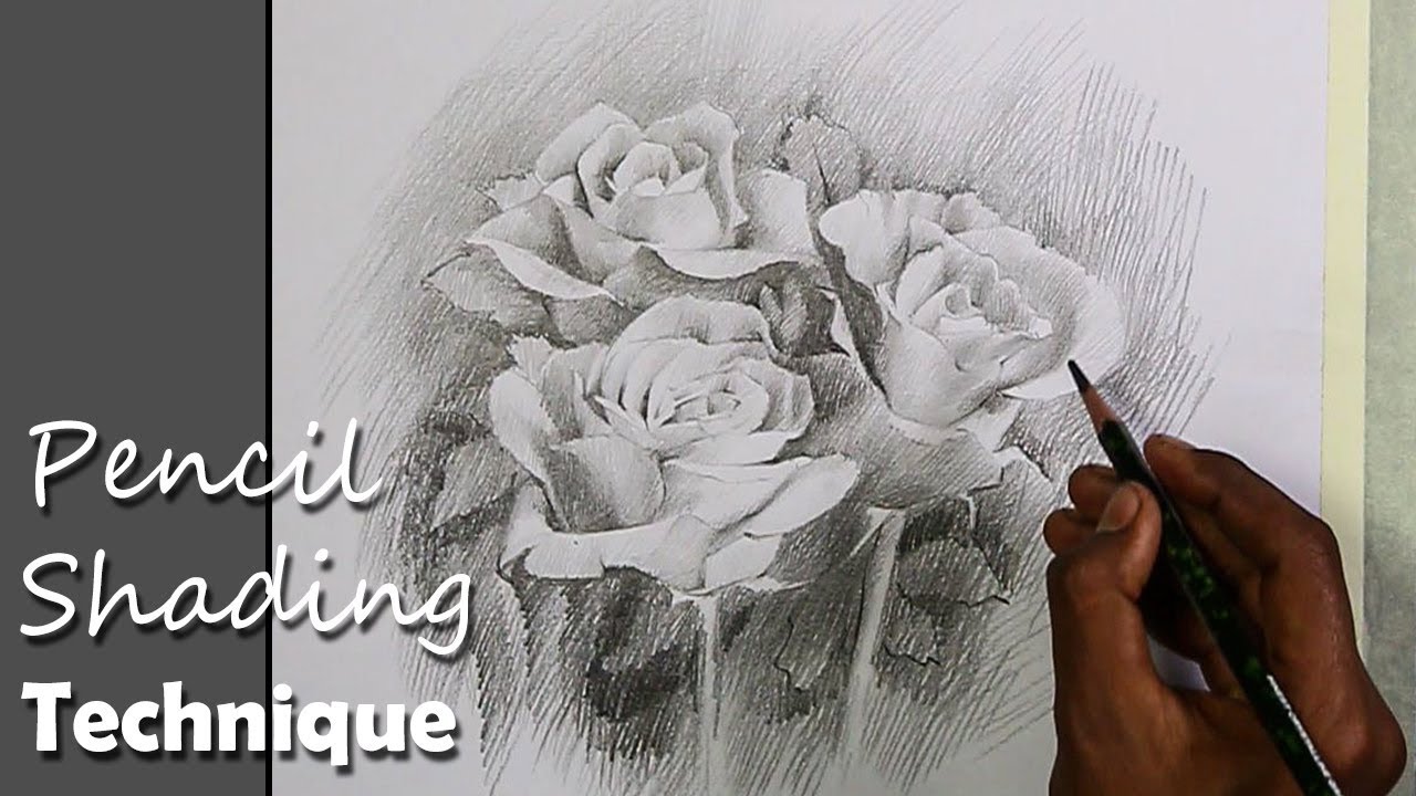 Pencil Shading Technique : Bunch of Roses | step by step drawing video
