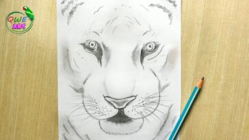 Tiger Face Speed Drawing  Pencil Sketch of Tiger Face