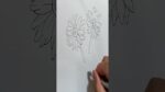 chrysanthemum Flower Drawing #shorts