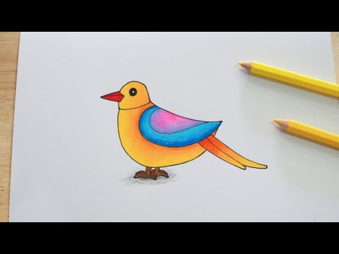 วาดรูปนกง่ายๆ วาดรูปนก ระบายสีไม้ / Drawing Easy | Drawing Bird