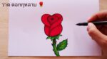 เทคนิคการวาดรูปดอกกุหลาบ สวยๆ / ระบายสีไม้สวยๆ | How to draw a Rose / Rose Drawing