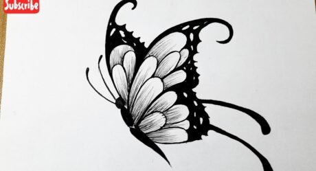 How to draw a butterfly easy step by step for beginners || Butterfly tattoo