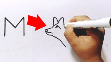 Apprenez à dessiner un renard à partir de la lettre M |  Comment transformer la lettre M en dessin de renard facile |  Nouveau dessin