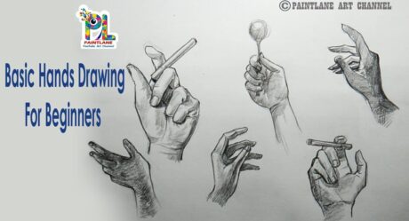Dibujo básico de manos para principiantes | Paso a paso | Anatomía de manos fáciles