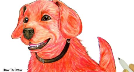 Clifford el gran perro rojo 2021 | Mira la película El gran perro rojo | Cómo dibujar el gran perro rojo Clifford