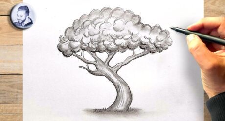 Comment dessiner un arbre au crayon