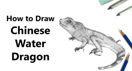 Comment dessiner un dragon d’eau chinois avec des crayons [Time Lapse]