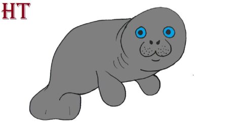 Comment dessiner un dugong facilement