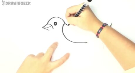 Comment dessiner un oiseau pour les enfants | Leçon de dessin d’oiseau étape par étape