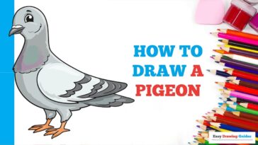 Comment dessiner un pigeon en quelques étapes faciles : tutoriel de dessin pour les artistes débutants
