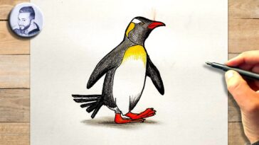 Comment dessiner un pingouin facile