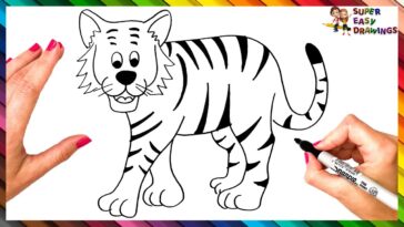 Comment dessiner un tigre étape par étape  Dessin de tigre facile