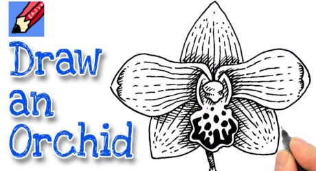 Cómo dibujar una flor de orquídea muy fácil