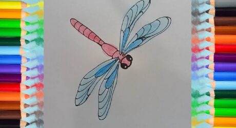 Cómo dibujar una libélula – Dibujo y coloreado de libélulas