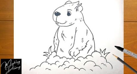 Cómo dibujar una marmota fácil