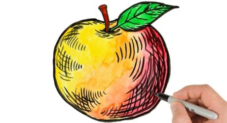 Cómo dibujar una manzana | Tutorial de dibujo y pintura en tinta