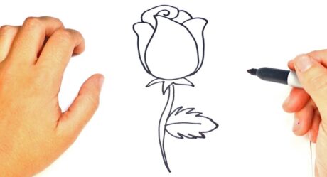 Comment dessiner une rose étape par étape | Leçon de dessin de roses