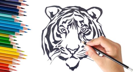 Dibujo de cara de tigre para principiantes – Paso a paso