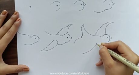 How To Draw A Bird | Bird Drawing Step by Step