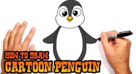 How to Draw a Penguin | Drawing Lesson for Beginners