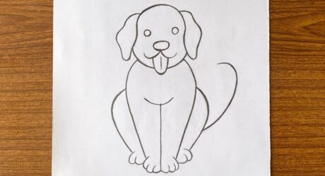 How to draw a cute dog face easy / How to draw a realistic dog with pencil step by step