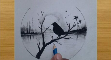 drawing of nature easy and beautiful for beginners / bird drawing step by step / pencil drawing