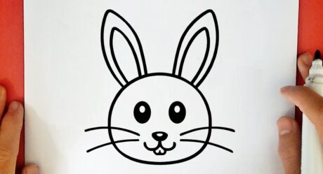 COMMENT DESSINER UN LAPIN